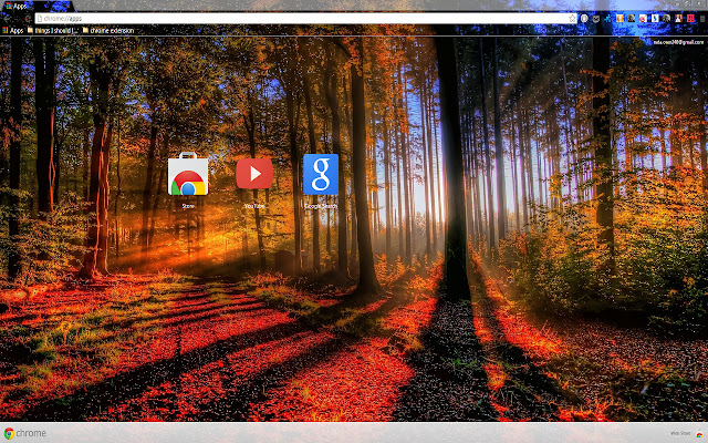 Forest at Autumn for 1366 X 768 from Chrome web store to be run with OffiDocs Chromium online Forest at Autumn for 1366 X 768 from Chrome web store to be run with OffiDocs Chromium online