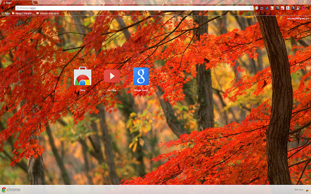 Forest At Fall from Chrome web store to be run with OffiDocs Chromium online Forest At Fall from Chrome web store to be run with OffiDocs Chromium online