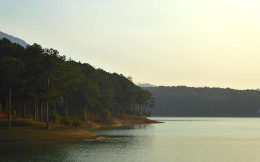 Forest by the lake from Chrome web store to be run with OffiDocs Chromium online Forest by the lake from Chrome web store to be run with OffiDocs Chromium online