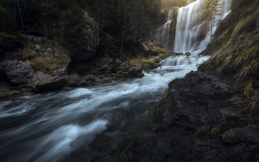 Forest Cascade from Chrome web store to be run with OffiDocs Chromium online Forest Cascade from Chrome web store to be run with OffiDocs Chromium online