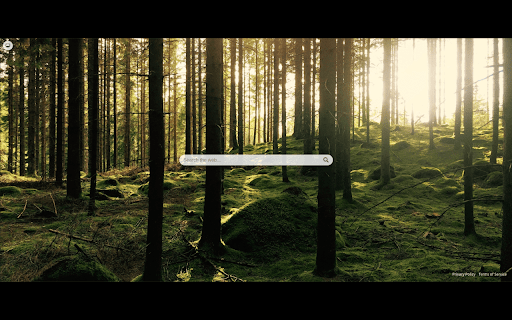 Forest New Tab from Chrome web store to be run with OffiDocs Chromium online Forest New Tab from Chrome web store to be run with OffiDocs Chromium online