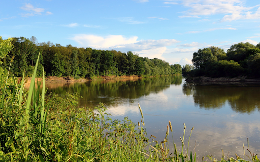 forests and lakes from Chrome web store to be run with OffiDocs Chromium online forests and lakes from Chrome web store to be run with OffiDocs Chromium online