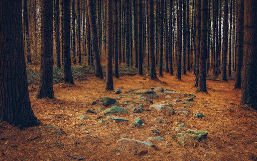 Forests and rocky grounds from Chrome web store to be run with OffiDocs Chromium online Forests and rocky grounds from Chrome web store to be run with OffiDocs Chromium online