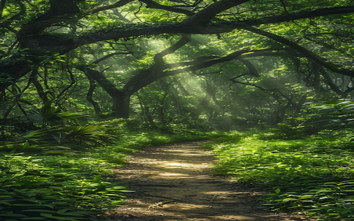 Forest trail wallpaper from Chrome web store to be run with OffiDocs Chromium online Forest trail wallpaper from Chrome web store to be run with OffiDocs Chromium online