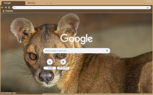 Fossa from Chrome web store to be run with OffiDocs Chromium online Fossa from Chrome web store to be run with OffiDocs Chromium online