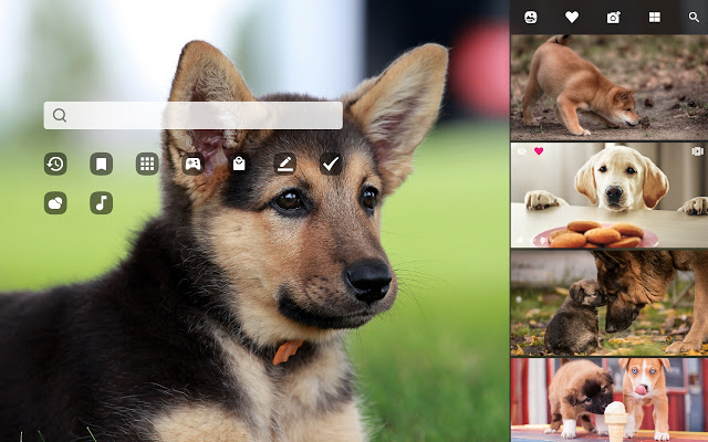 French Bulldog from Chrome web store to be run with OffiDocs Chromium online French Bulldog from Chrome web store to be run with OffiDocs Chromium online