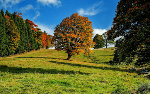 garden from Chrome web store to be run with OffiDocs Chromium online garden from Chrome web store to be run with OffiDocs Chromium online