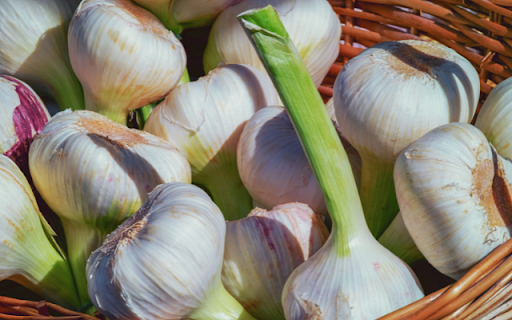 Garlic – A Culinary Essential and Symbol of Vitality from Chrome web store to be run with OffiDocs Chromium online Garlic – A Culinary Essential and Symbol of Vitality from Chrome web store to be run with OffiDocs Chromium online