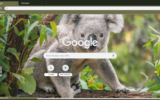 Gau Koala from Chrome web store to be run with OffiDocs Chromium online Gau Koala from Chrome web store to be run with OffiDocs Chromium online