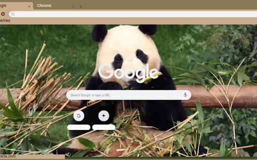 Gau Truc from Chrome web store to be run with OffiDocs Chromium online Gau Truc from Chrome web store to be run with OffiDocs Chromium online