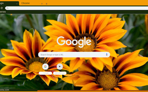 Gazania from Chrome web store to be run with OffiDocs Chromium online Gazania from Chrome web store to be run with OffiDocs Chromium online