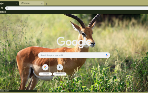 Gazelle from Chrome web store to be run with OffiDocs Chromium online Gazelle from Chrome web store to be run with OffiDocs Chromium online