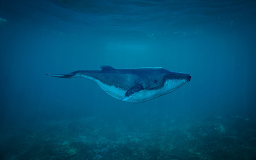 Giant blue whale from Chrome web store to be run with OffiDocs Chromium online Giant blue whale from Chrome web store to be run with OffiDocs Chromium online