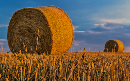 Giant straw roll from Chrome web store to be run with OffiDocs Chromium online Giant straw roll from Chrome web store to be run with OffiDocs Chromium online