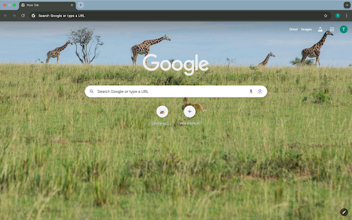 giraffe and savannah from Chrome web store to be run with OffiDocs Chromium online giraffe and savannah from Chrome web store to be run with OffiDocs Chromium online