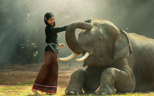 Girl and elephant from Chrome web store to be run with OffiDocs Chromium online Girl and elephant from Chrome web store to be run with OffiDocs Chromium online