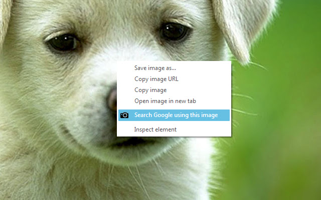 Google Image Search from Chrome web store to be run with OffiDocs Chromium online Google Image Search from Chrome web store to be run with OffiDocs Chromium online