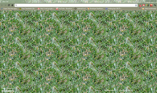 Grassy from Chrome web store to be run with OffiDocs Chromium online Grassy from Chrome web store to be run with OffiDocs Chromium online