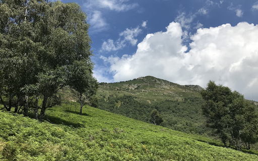 Grassy hills from Chrome web store to be run with OffiDocs Chromium online Grassy hills from Chrome web store to be run with OffiDocs Chromium online