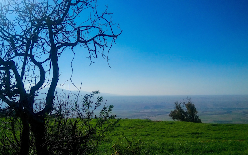 Grassy hills and fog from Chrome web store to be run with OffiDocs Chromium online Grassy hills and fog from Chrome web store to be run with OffiDocs Chromium online