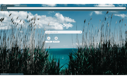 Grassy Shore from Chrome web store to be run with OffiDocs Chromium online Grassy Shore from Chrome web store to be run with OffiDocs Chromium online