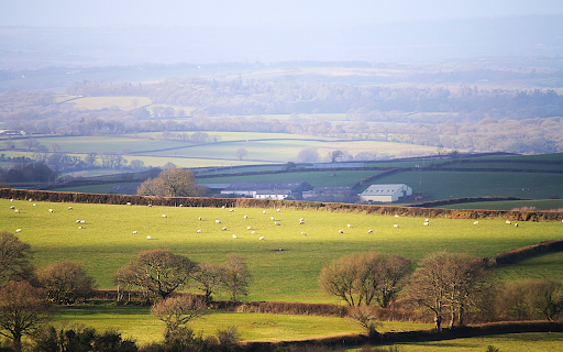 Green countryside from Chrome web store to be run with OffiDocs Chromium online Green countryside from Chrome web store to be run with OffiDocs Chromium online