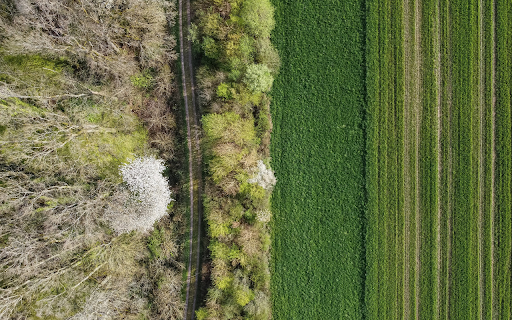 Green fields next to the forest from Chrome web store to be run with OffiDocs Chromium online Green fields next to the forest from Chrome web store to be run with OffiDocs Chromium online