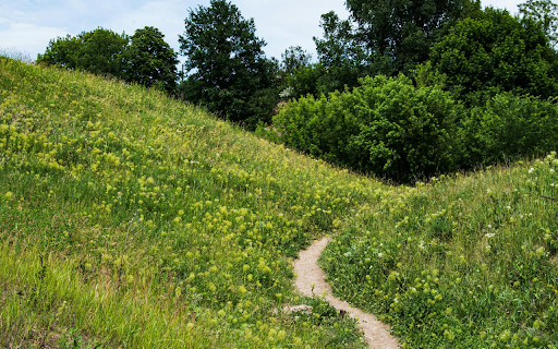 Green Grass Hill from Chrome web store to be run with OffiDocs Chromium online Green Grass Hill from Chrome web store to be run with OffiDocs Chromium online