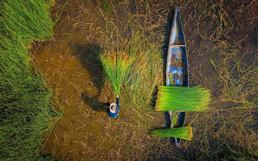 Green Grass Pond from Chrome web store to be run with OffiDocs Chromium online Green Grass Pond from Chrome web store to be run with OffiDocs Chromium online
