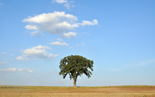 Green trees from Chrome web store to be run with OffiDocs Chromium online Green trees from Chrome web store to be run with OffiDocs Chromium online