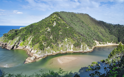 Green turtle island from Chrome web store to be run with OffiDocs Chromium online Green turtle island from Chrome web store to be run with OffiDocs Chromium online