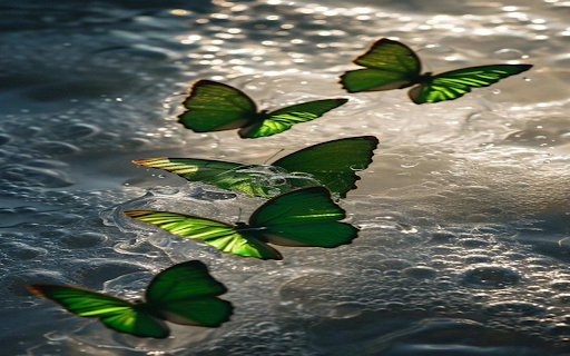 Green winged butterflies wallpaper from Chrome web store to be run with OffiDocs Chromium online Green winged butterflies wallpaper from Chrome web store to be run with OffiDocs Chromium online