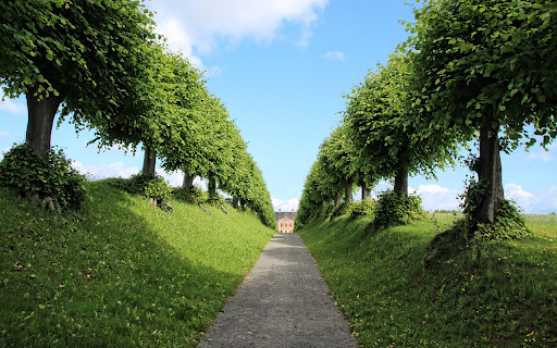 Guards of trees from Chrome web store to be run with OffiDocs Chromium online Guards of trees from Chrome web store to be run with OffiDocs Chromium online