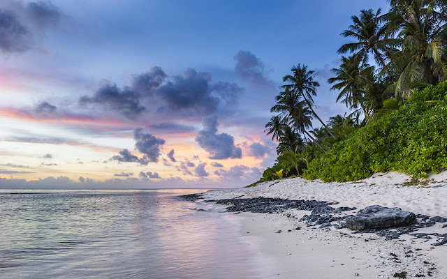 Hawaii Wallpapers Paradise New Tab Theme from Chrome web store to be run with OffiDocs Chromium online Hawaii Wallpapers Paradise New Tab Theme from Chrome web store to be run with OffiDocs Chromium online