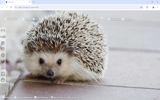 Hedgehog Wallpaper from Chrome web store to be run with OffiDocs Chromium online Hedgehog Wallpaper from Chrome web store to be run with OffiDocs Chromium online