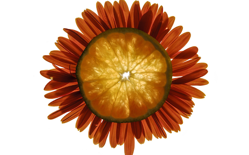 Herbal tea from Chrome web store to be run with OffiDocs Chromium online Herbal tea from Chrome web store to be run with OffiDocs Chromium online