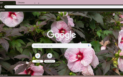 Hibiscus from Chrome web store to be run with OffiDocs Chromium online Hibiscus from Chrome web store to be run with OffiDocs Chromium online