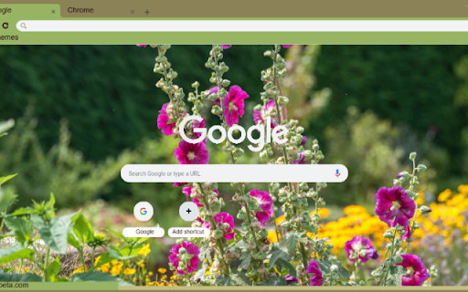 Hollyhock from Chrome web store to be run with OffiDocs Chromium online Hollyhock from Chrome web store to be run with OffiDocs Chromium online