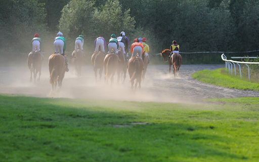Horse racing competition from Chrome web store to be run with OffiDocs Chromium online Horse racing competition from Chrome web store to be run with OffiDocs Chromium online