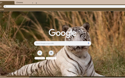 Ho Trang from Chrome web store to be run with OffiDocs Chromium online Ho Trang from Chrome web store to be run with OffiDocs Chromium online