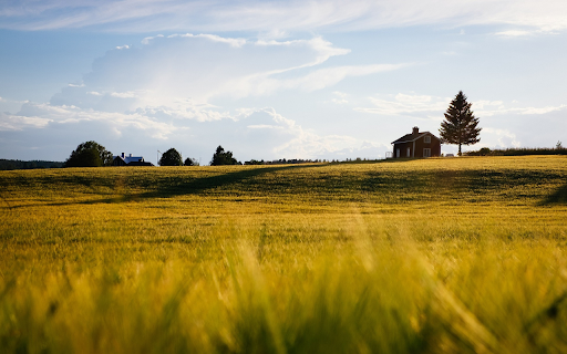 House in the field from Chrome web store to be run with OffiDocs Chromium online House in the field from Chrome web store to be run with OffiDocs Chromium online