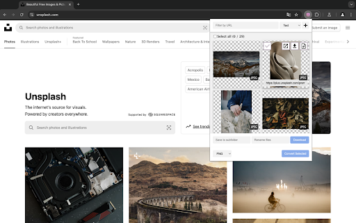 Image Downloader with Convert from Chrome web store to be run with OffiDocs Chromium online Image Downloader with Convert from Chrome web store to be run with OffiDocs Chromium online
