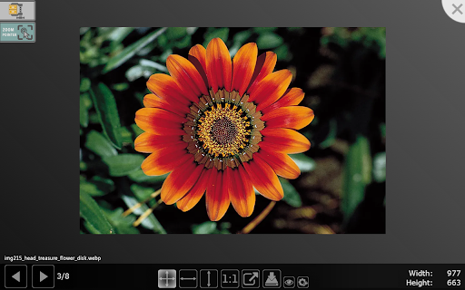 Image Drops: Downloader Viewer for web images from Chrome web store to be run with OffiDocs Chromium online Image Drops: Downloader Viewer for web images from Chrome web store to be run with OffiDocs Chromium online