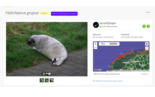 iNaturalist to Wikimedia Commons from Chrome web store to be run with OffiDocs Chromium online iNaturalist to Wikimedia Commons from Chrome web store to be run with OffiDocs Chromium online