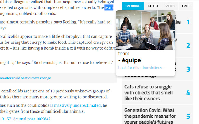 iTranslator Select to Translate from Chrome web store to be run with OffiDocs Chromium online iTranslator Select to Translate from Chrome web store to be run with OffiDocs Chromium online