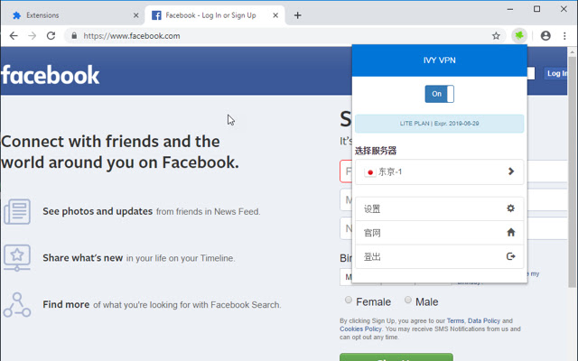 IvyVPN from Chrome web store to be run with OffiDocs Chromium online IvyVPN from Chrome web store to be run with OffiDocs Chromium online