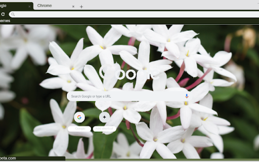 Jasmine from Chrome web store to be run with OffiDocs Chromium online Jasmine from Chrome web store to be run with OffiDocs Chromium online