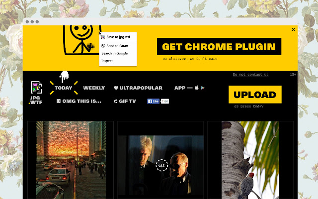 JPG.WTF from Chrome web store to be run with OffiDocs Chromium online JPG.WTF from Chrome web store to be run with OffiDocs Chromium online