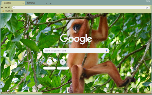 Khi vooc from Chrome web store to be run with OffiDocs Chromium online Khi vooc from Chrome web store to be run with OffiDocs Chromium online