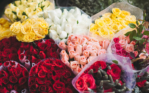 Large bouquets of roses from Chrome web store to be run with OffiDocs Chromium online Large bouquets of roses from Chrome web store to be run with OffiDocs Chromium online